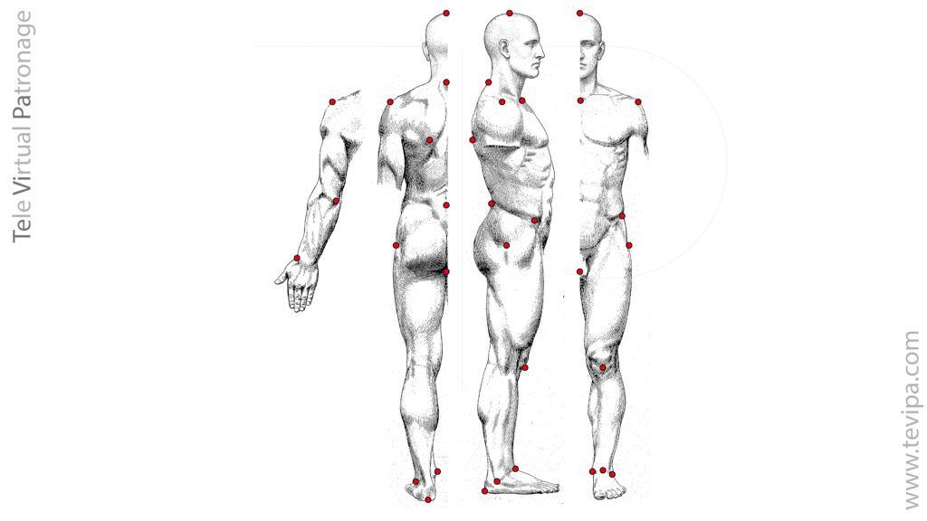 Puntos de referencia internos del cuerpo humano