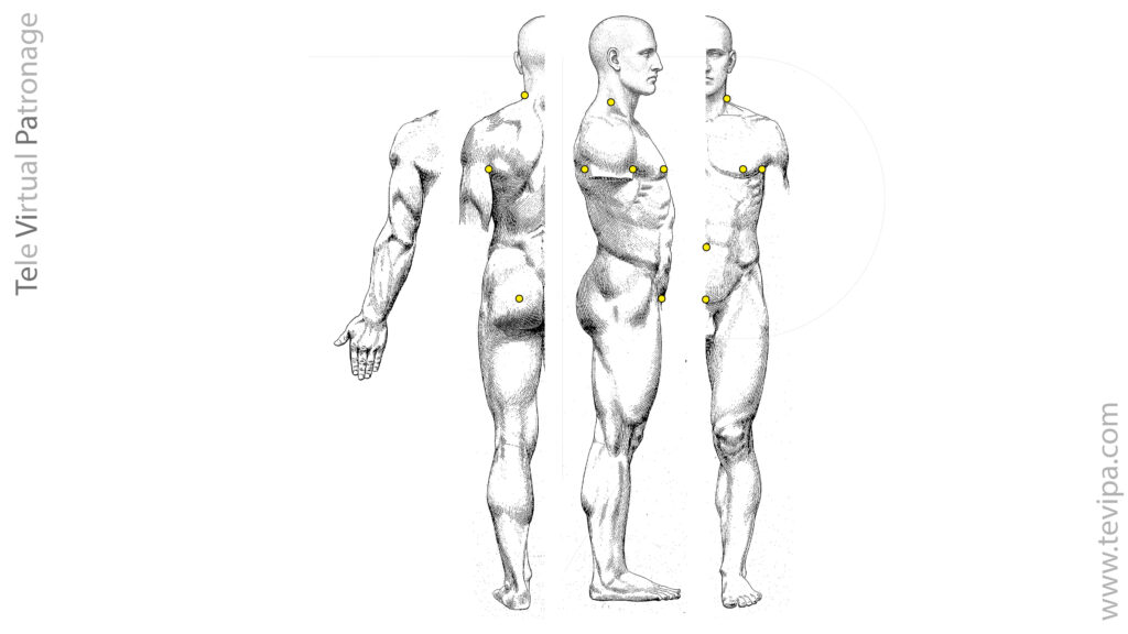 Puntos de referencia externos del cuerpo humano