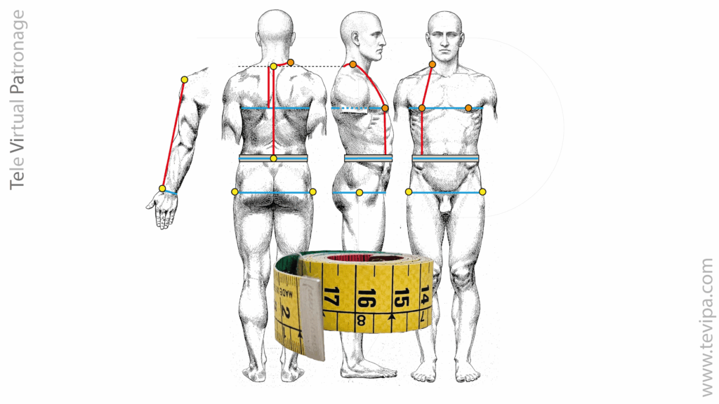 Ilustración de medidas anatómicas para el trazado del patrón de cuerpo de dos piezas y manga de una pieza.