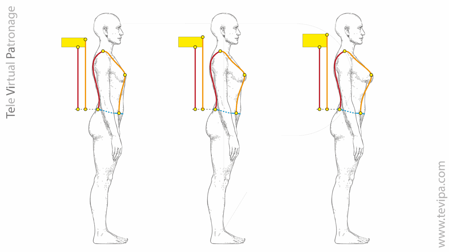 Measurements 3 – Female front bust - Tele Virtual Patronage