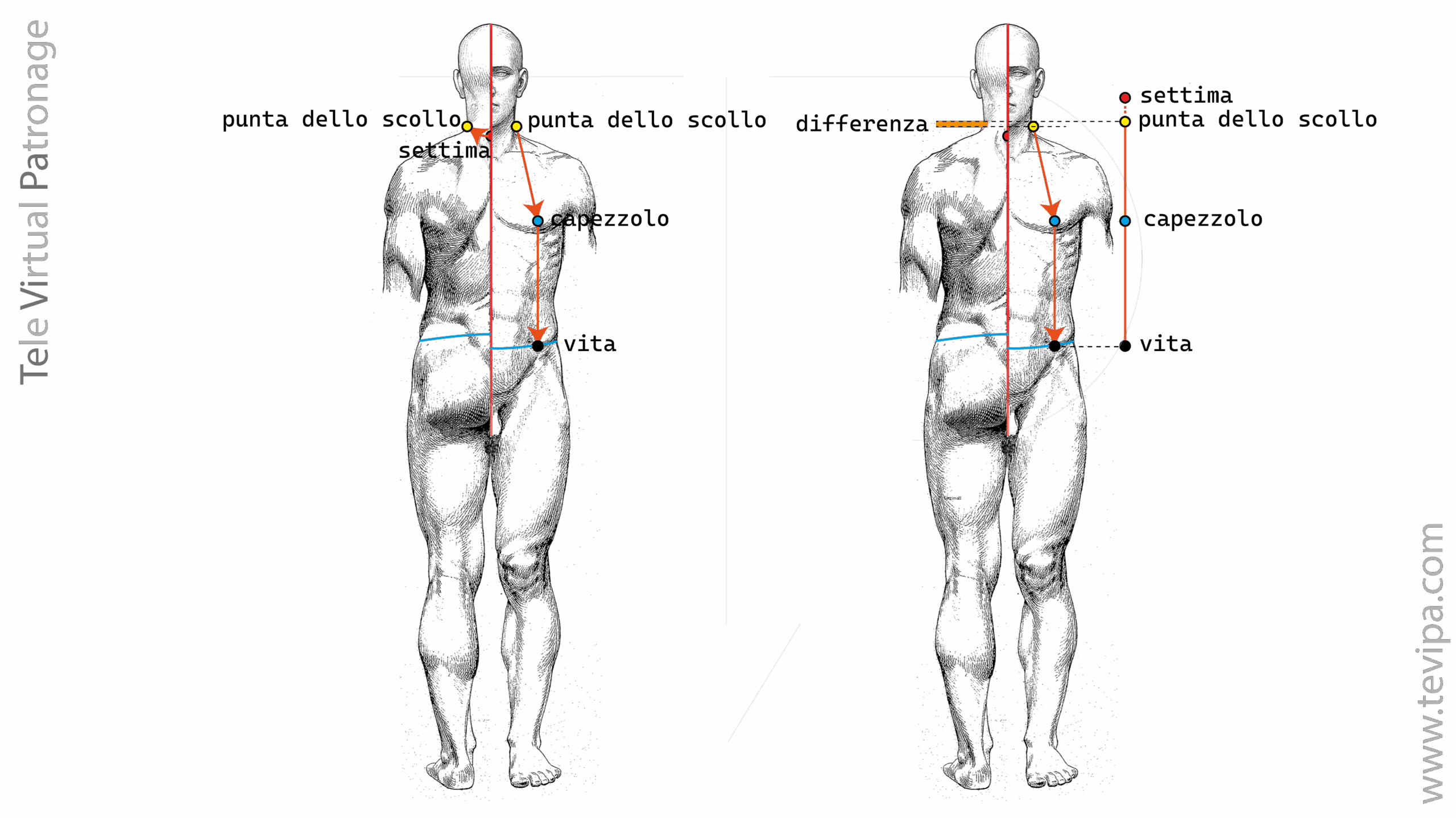 Misurazione verticale del busto davanti con nastrino.