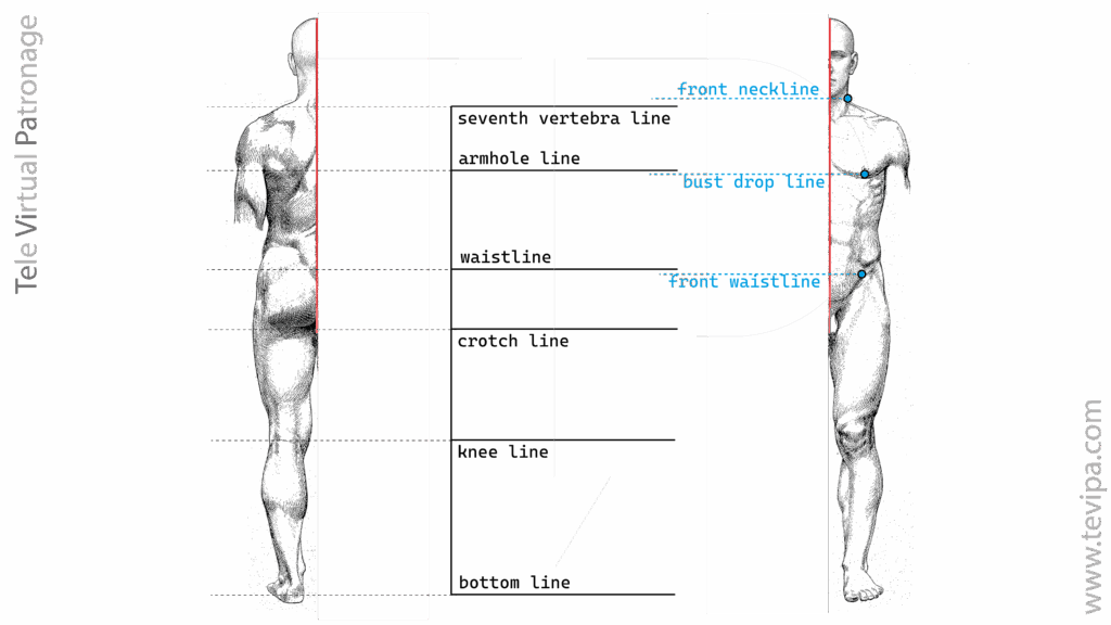 Horizontal lines of the front pattern.