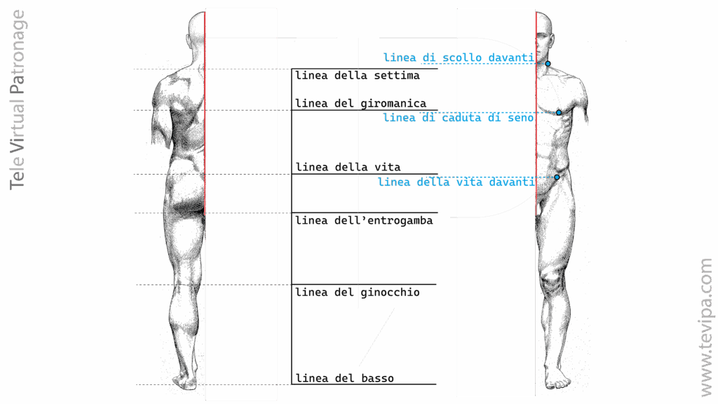 Linee orizzontali del davanti.