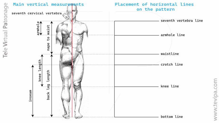 Illustration with vertical body measurements of a male figure and main guide lines for constructing a basic pattern.