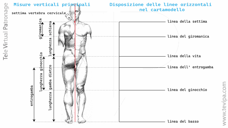 Illustrazione con misure verticali del corpo umano maschile e linee guida principali per costruire un cartamodello di base.