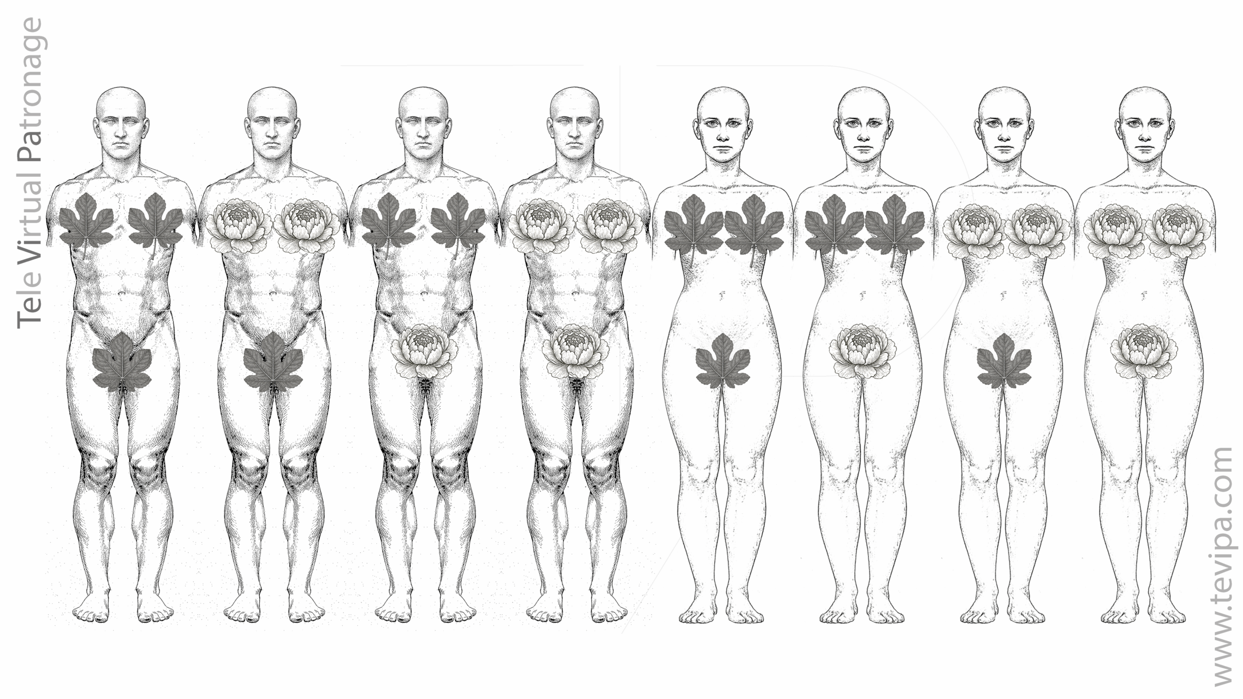 Portada con las ocho combinaciones morfológicas posibles del cuerpo humano