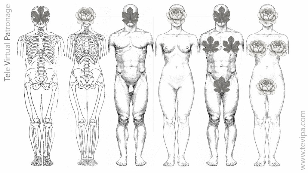 Comparación de estructura interna y externa del cuerpo humano con ocho variaciones morfológicas
