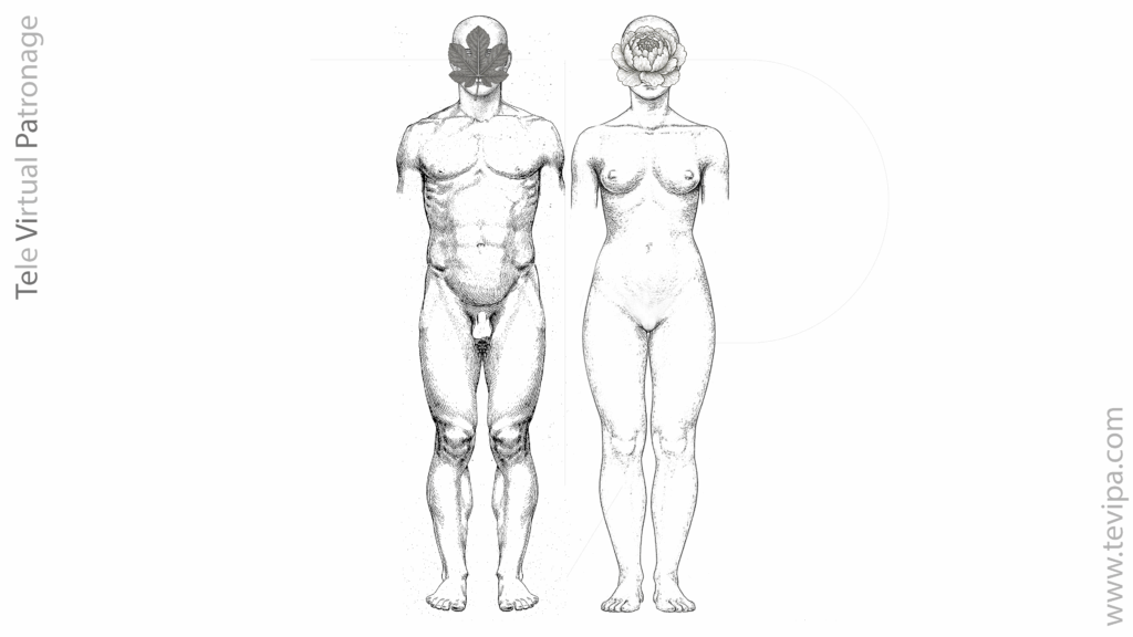 Morfologías originarias del cuerpo humano: masculina y femenina