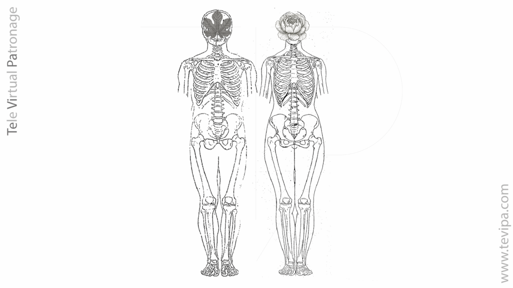 Representación de la estructura interna del cuerpo humano masculino y femenino