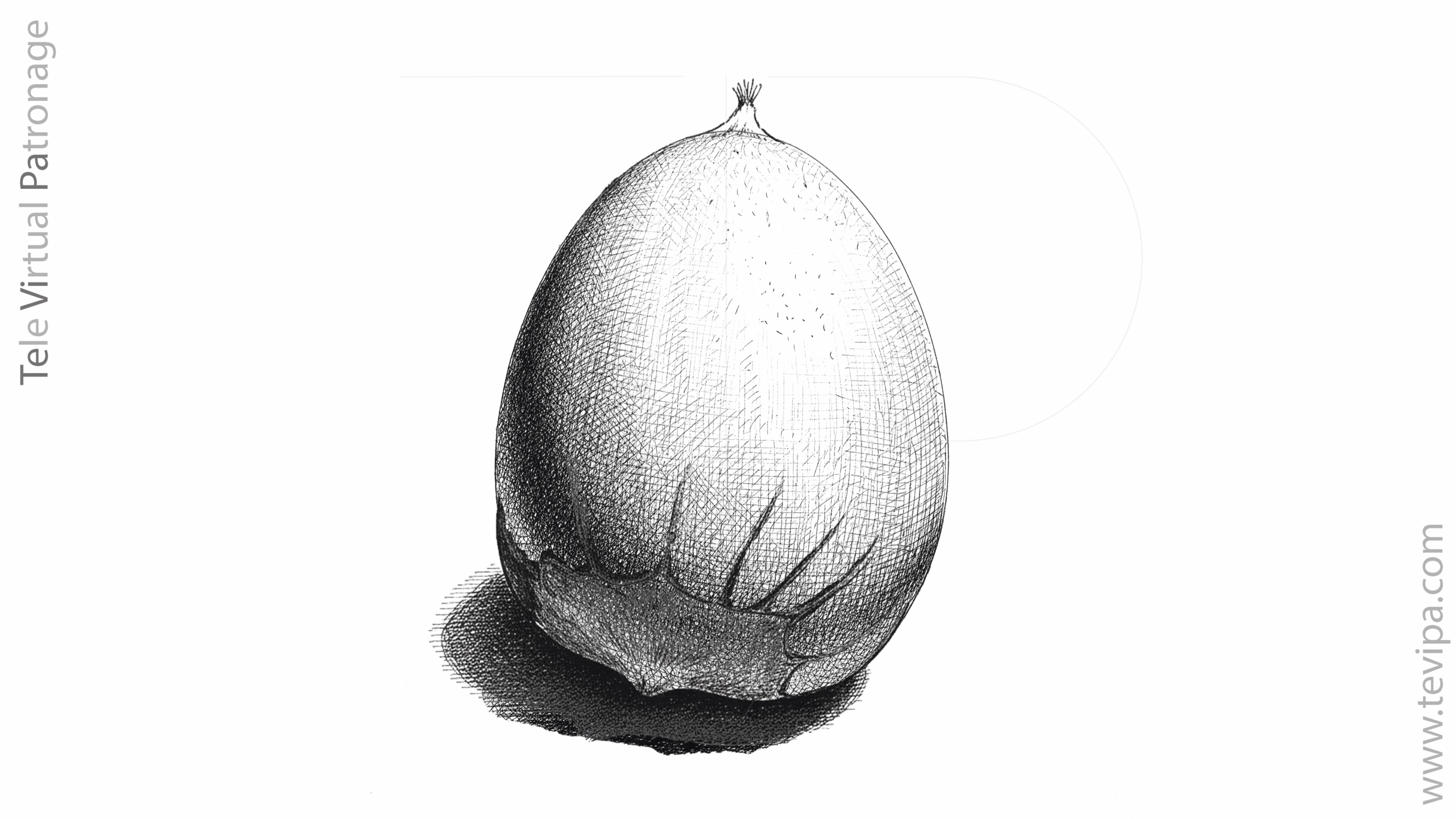 Dibujo de un huevo con la base de una castaña