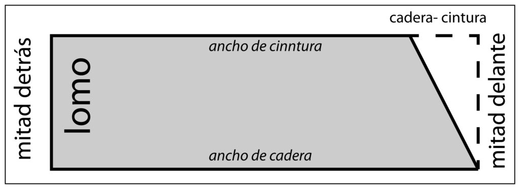 Trapecio resultante del patrón masculino al descontar la diferencia entre cadera y cintura, con líneas de mitad delante y mitad detrás