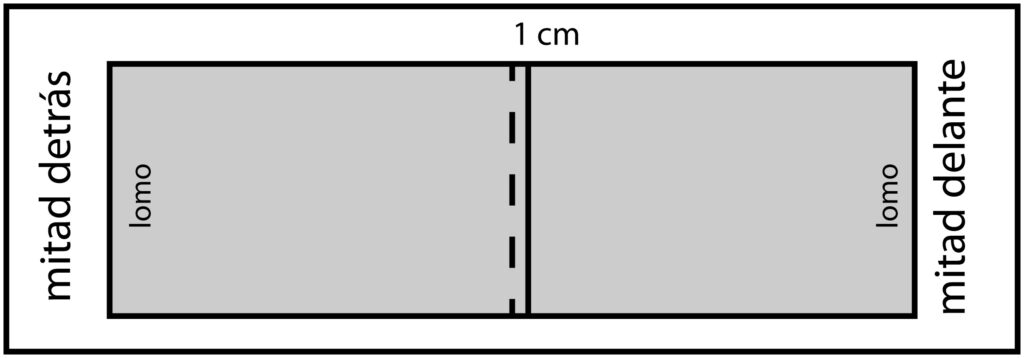 Esquema del patrón masculino con la línea de costura lateral desplazada 1 cm hacia el delantero, mostrando las mitades a lomo