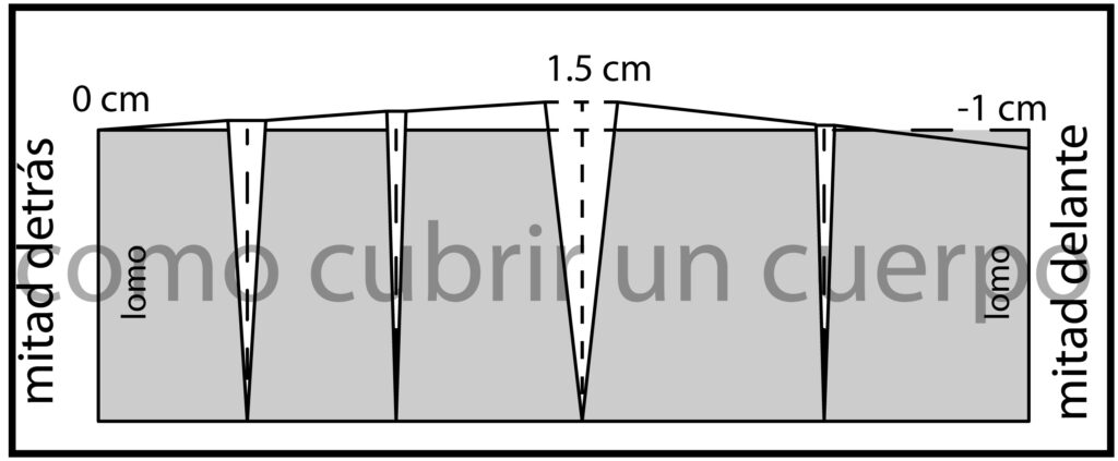 Fotografía de perfil del torso humano con líneas horizontales de referencia para medir la altura de cadera y cintura