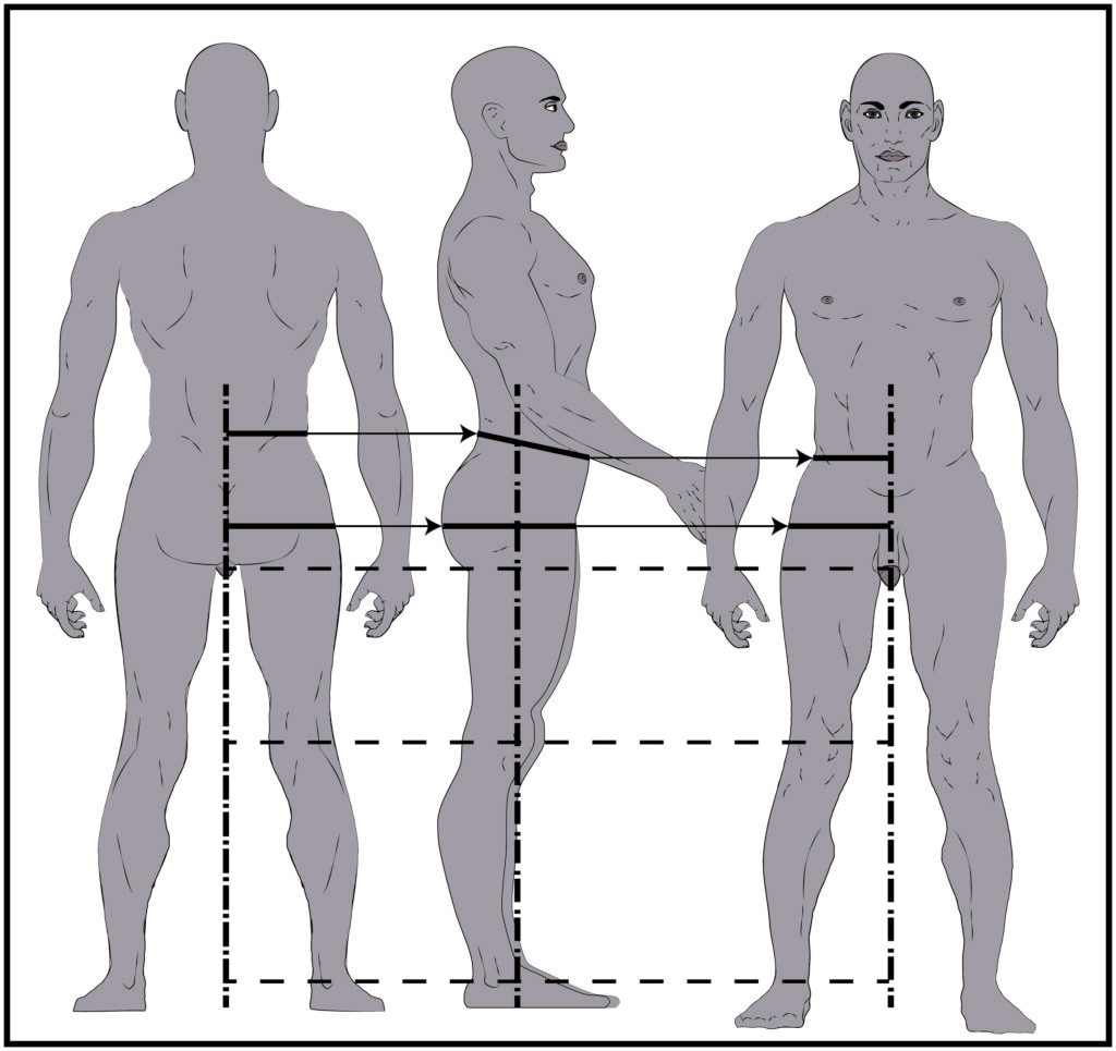 Esquema con vistas frontal, lateral y posterior que muestra las cotas de cintura según el largo de pierna