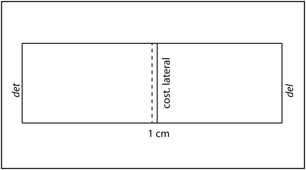 Desplazamiento de la línea central 1 cm hacia el delantero para centrar la costura lateral