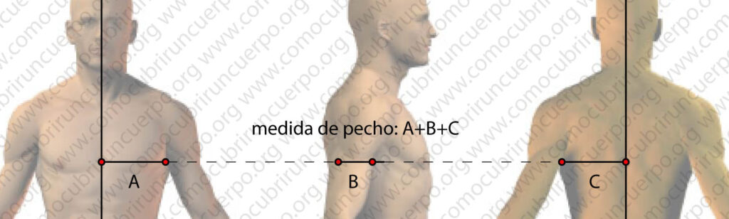 Medición del contorno de pecho masculino en tres segmentos: A, B y C