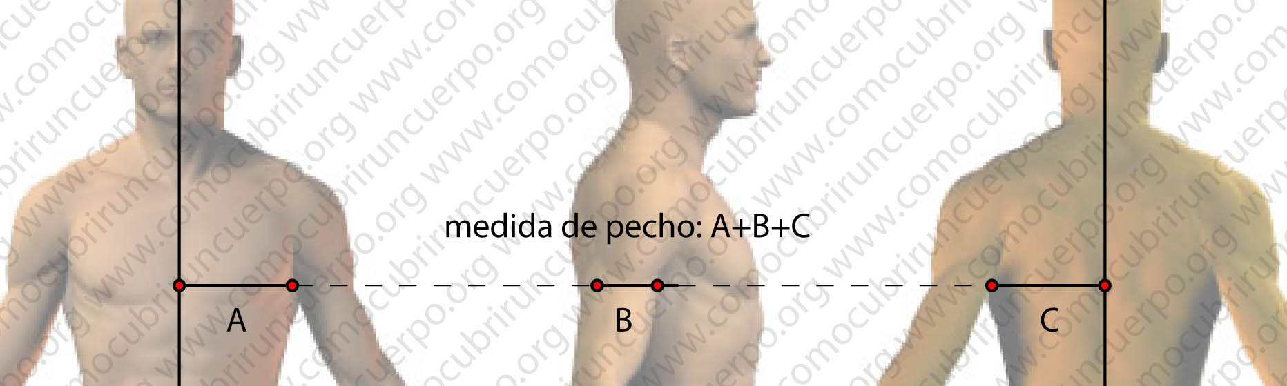 Medición del contorno de pecho masculino en tres segmentos: A, B y C