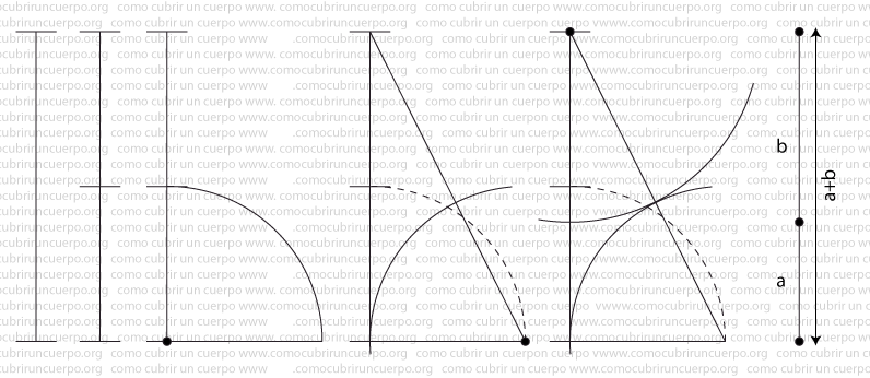 Construcción geométrica paso a paso para dividir un segmento según la proporción áurea φ