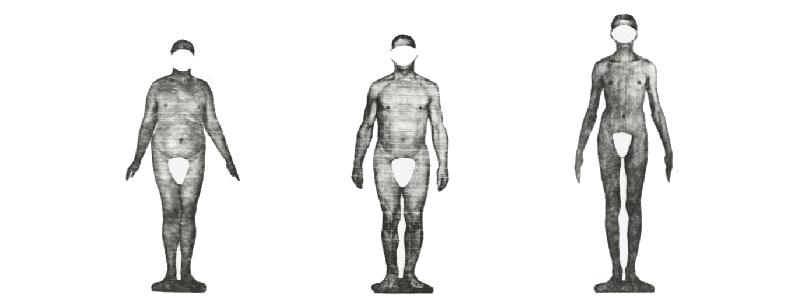 Vista frontal de los tres somatotipos de Sheldon: ectomorfo, mesomorfo y endomorfo