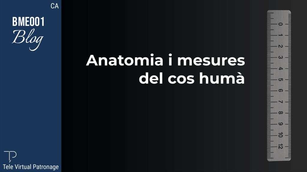 TEVIPA – Anatomia i mesures del cos humà