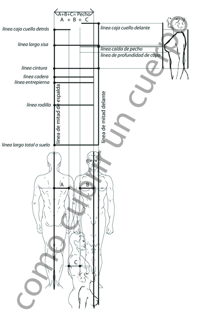 Esquema técnico de proporciones del cuerpo humano con líneas de referencia para el patronaje y la toma de medidas.