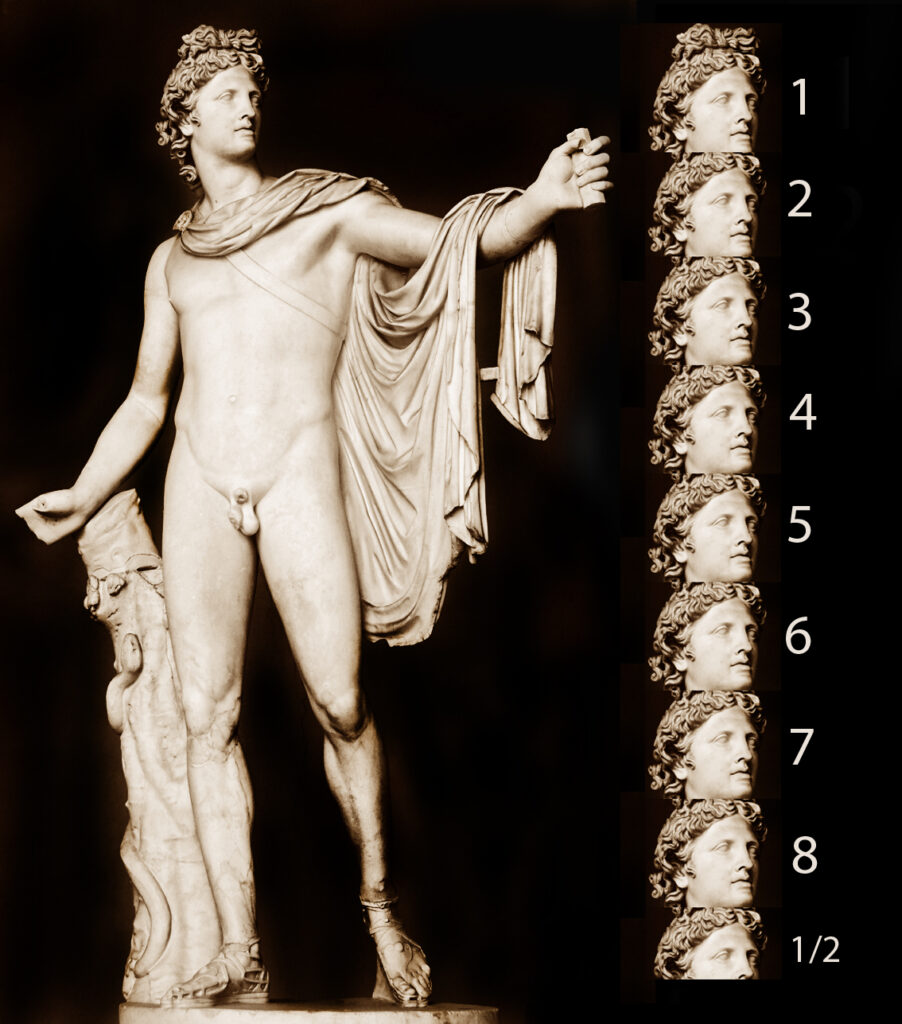 Apolo de Belvedere canon de 8 cabezas y media
