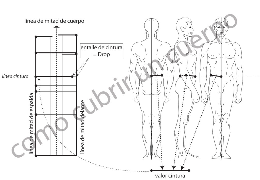 esquema de entalle de cintura en hombre y mujer