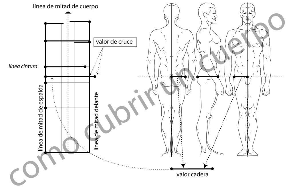 Esquema técnico de la medida del contorno de cadera con líneas de referencia en el cuerpo humano
