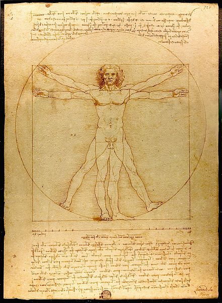 Ilustración de Leonardo da Vinci del Hombre de Vitruvio, basada en las proporciones de Vitruvio