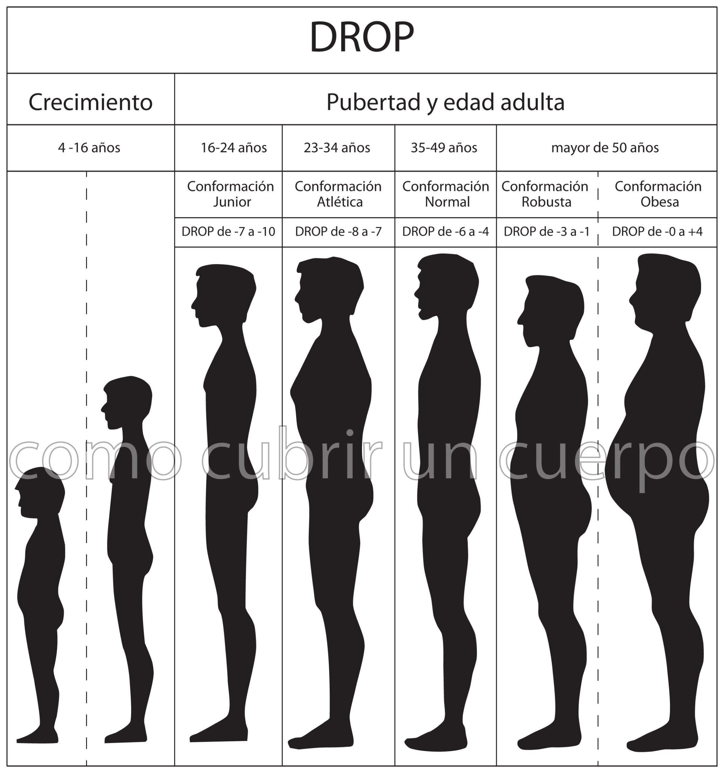 Esquema del Drop en el cuerpo humano con cinco conformaciones: junior, atlética, normal, robusta y obesa