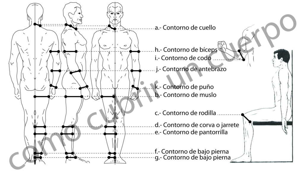esquema de medidas horizontales secundarias del cuerpo humano para patronaje