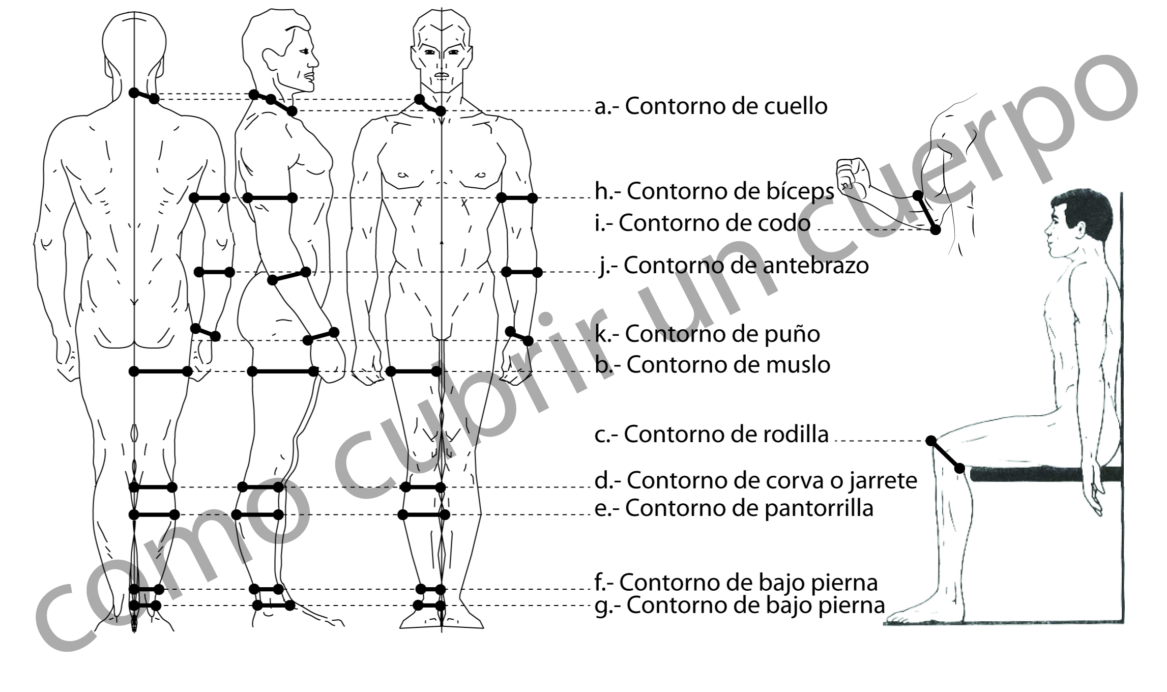esquema de medidas horizontales secundarias del cuerpo humano para patronaje