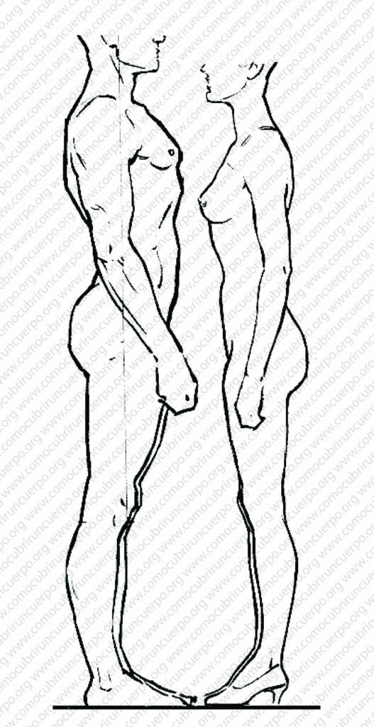 Perfil humano masculino y femenino para explicar el reparto del entalle