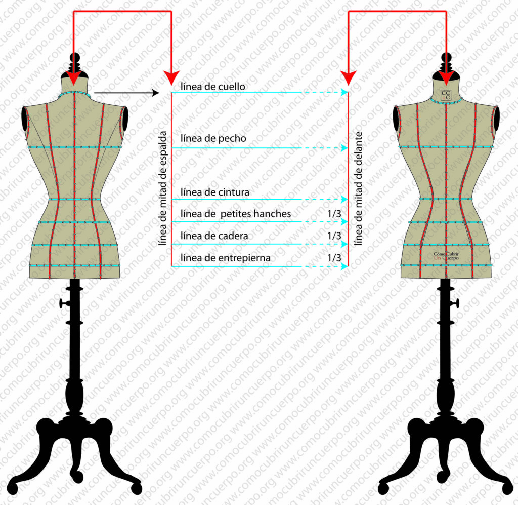 Bolducs horizontales colocados sobre el maniquí para marcar las líneas de aplomo necesarias en el moulage