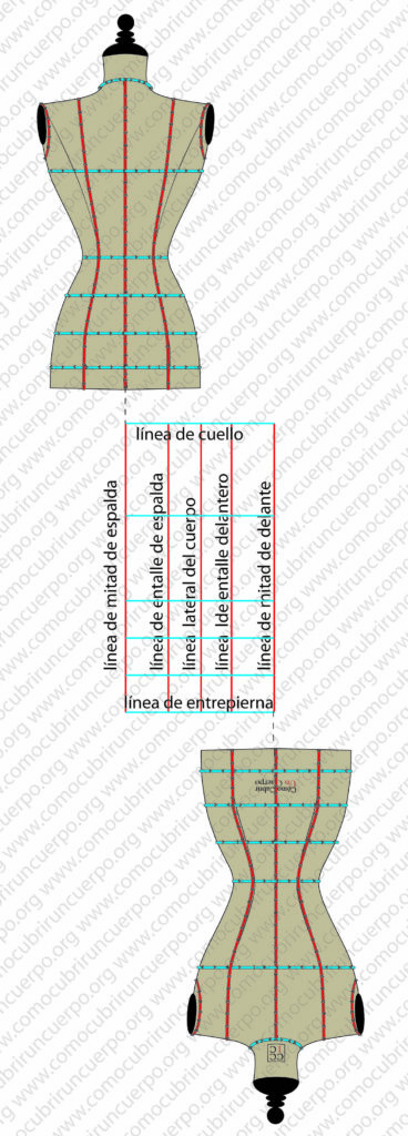 Bolducs verticales colocados sobre el maniquí para definir las líneas de construcción en el moulage