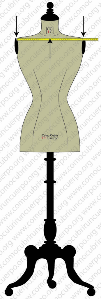 Determinación del eje de mitad delante del maniquí midiendo el ancho del delantero y marcando su punto medio con un alfiler