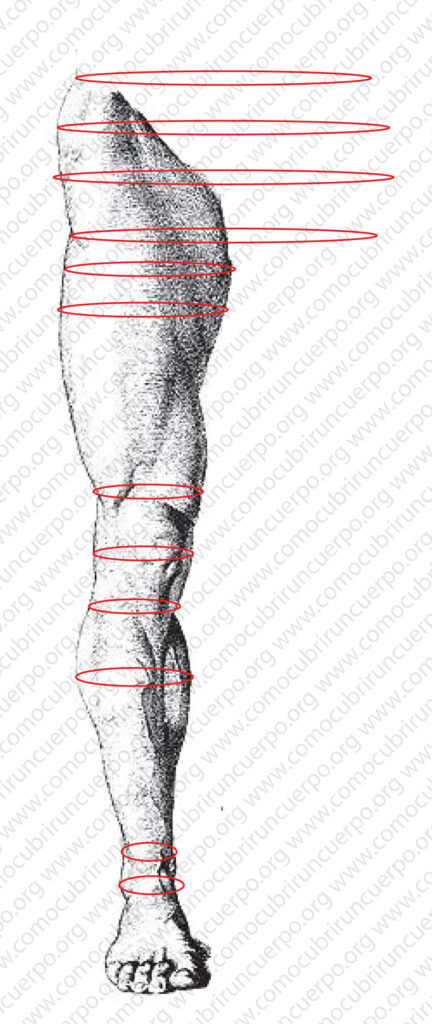 Pierna masculina con líneas de contorno que muestran el estrechamiento y ensanche del volumen a lo largo del miembro inferior