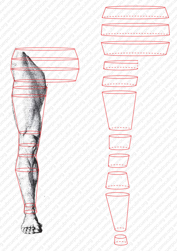 Pierna masculina representada como una sucesión de conos truncos obtenidos a partir de los contornos del miembro inferior