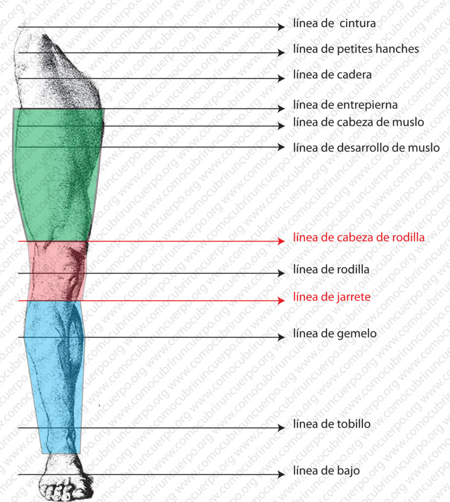 Pernera de pantalón dividida en muslo, rodillera y espinillera según las líneas de referencia de la pierna