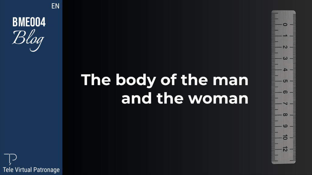 Male and female body in patternmaking, human body morphology and proportions