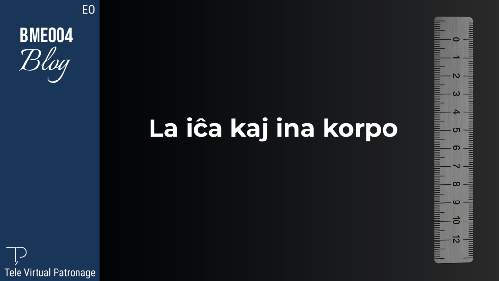 La korpo de la viro kaj de la virino en ŝablonfarado, morfologio kaj proporcioj