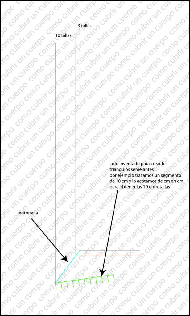 División de una entretalla usando triángulos semejantes según el Teorema de Tales