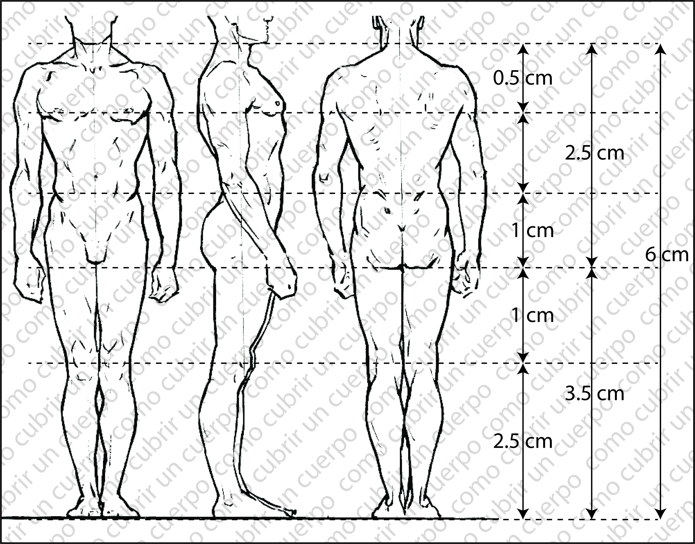 Reparto de los 6 cm entre grupos de largos en patronaje industrial