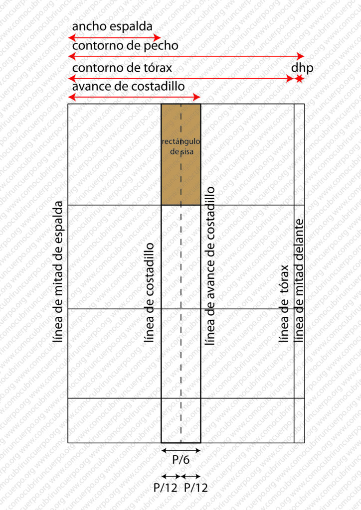 Esquema del ancho del rectángulo de sisa con ancho de espalda, contorno de pecho, contorno de tórax y avance de costadillo