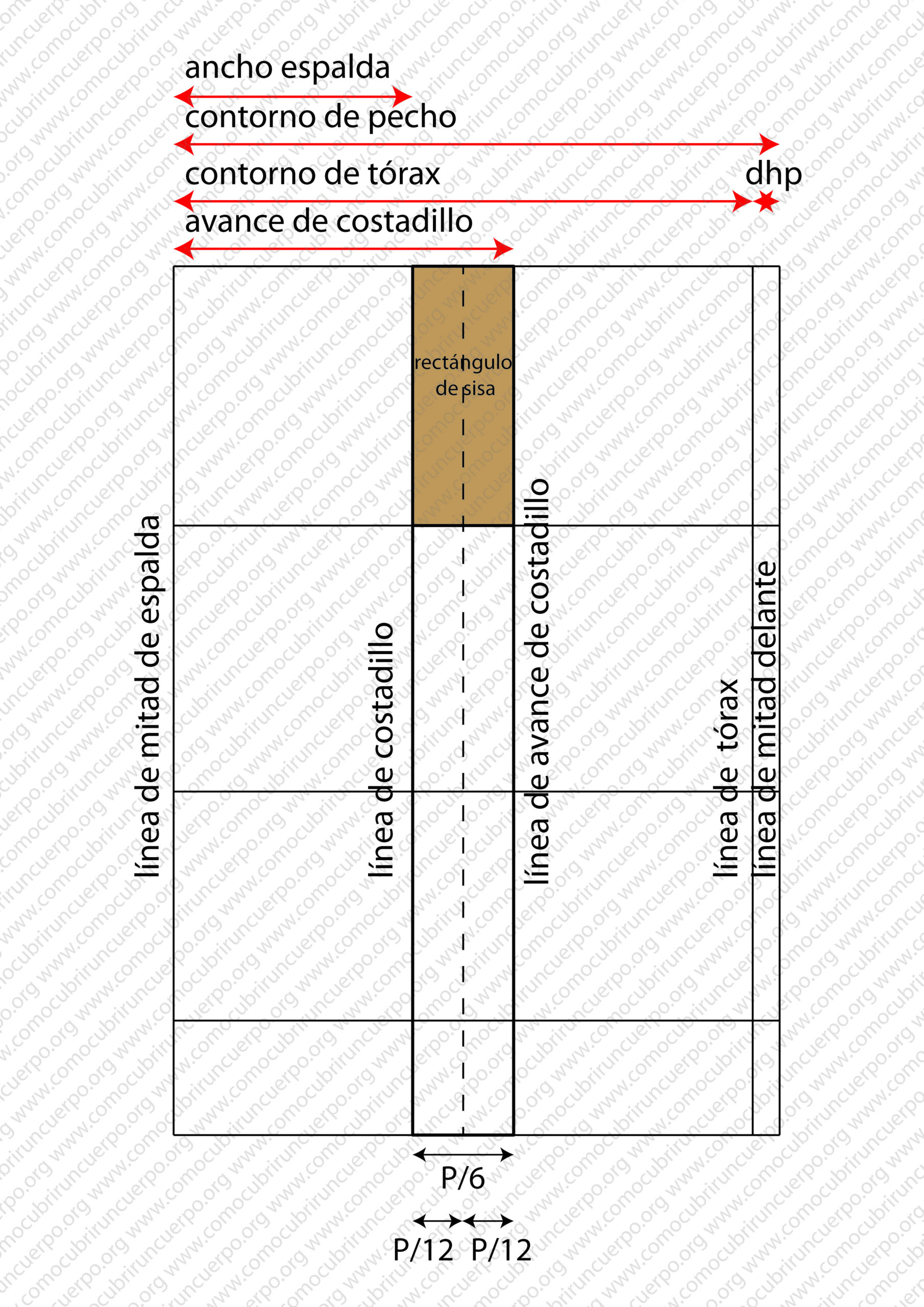 Esquema del ancho del rectángulo de sisa con ancho de espalda, contorno de pecho, contorno de tórax y avance de costadillo