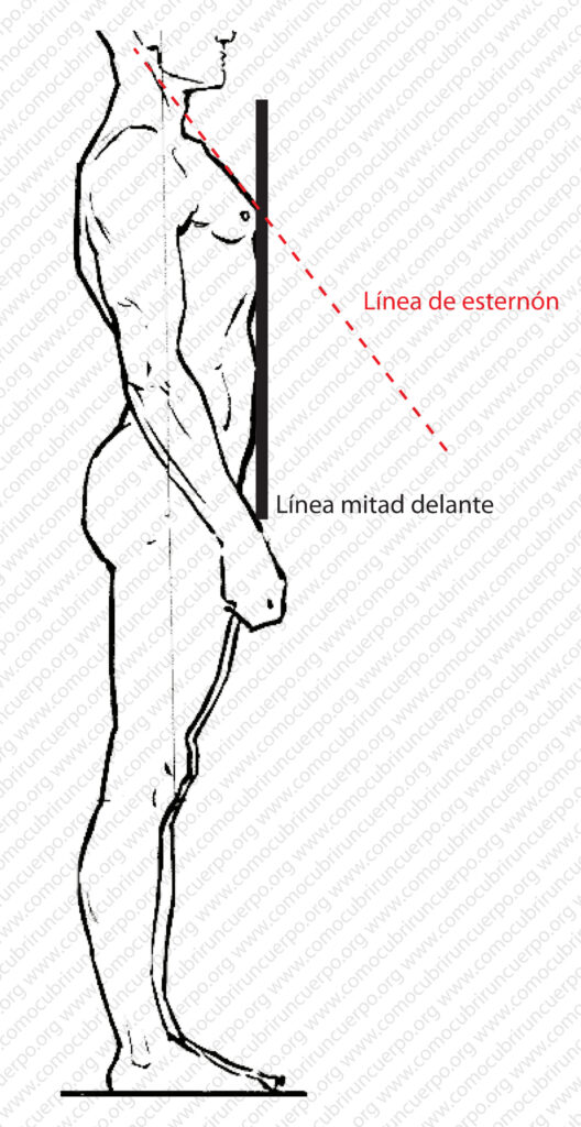 Perfil del cuerpo mostrando la inclinación del esternón respecto a la línea de mitad delante y su influencia en la caja de cuello