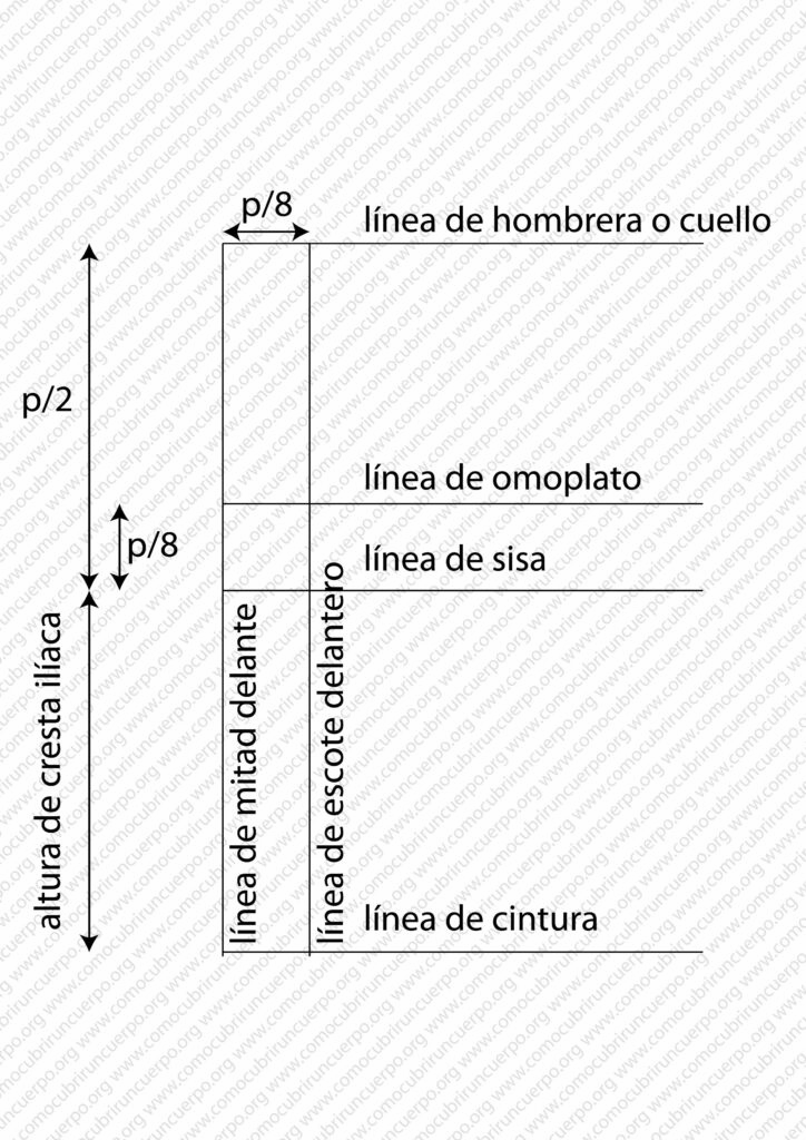 Construcción de las líneas base del delantero del traje de caballero de 1855: línea de hombrera, línea de sisa, línea de omoplato y línea de cintura