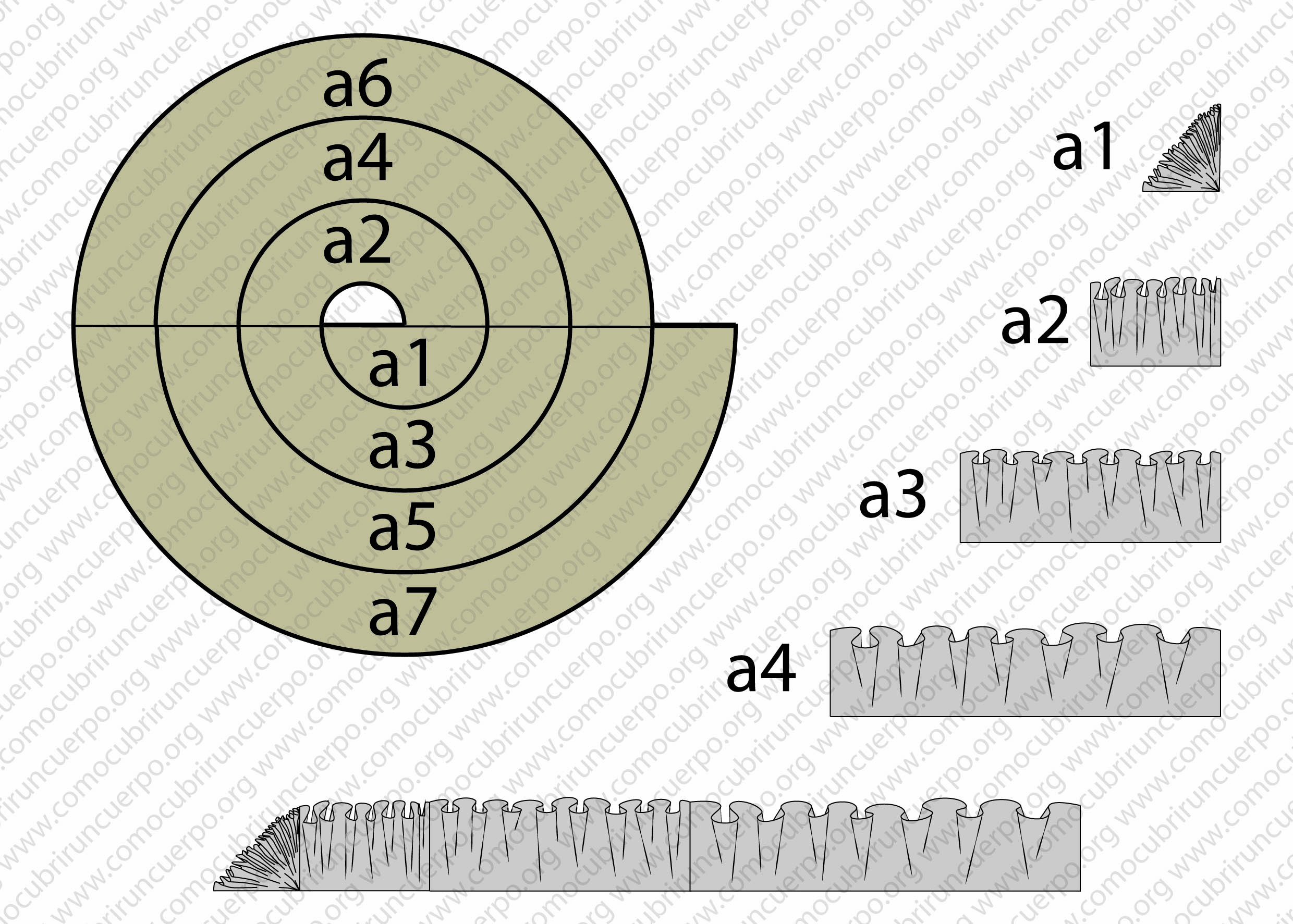 Disminución progresiva del frunce en sectores a1, a2, a3 y a4 de una espiral P/2