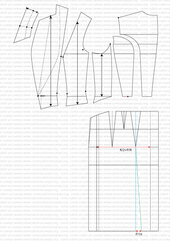 Prolongación de la pinza de omoplato hasta el bajo y determinación del vuelo mediante P/16 en el frac femenino