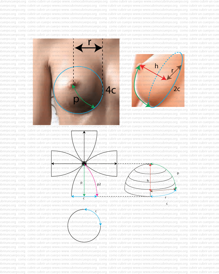 Ilustración explicativa de las variables geométricas de la copa de seno, mostrando altura h, radio r, perímetro base, desarrollo en gajos y relación con la media esfera.